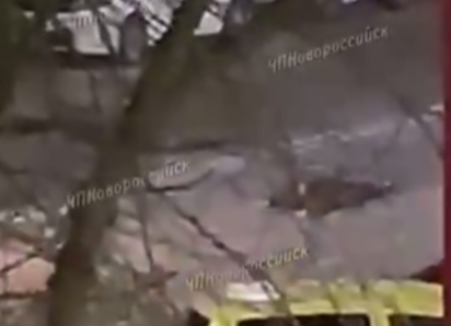 Жуткое ДТП в Новороссийске: пешеход лег на дорогу и его переехал автомобиль