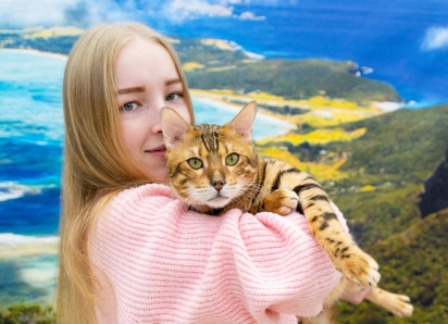 «Страна Мурляндия»: необычная выставка кошек впервые приезжает в Новороссийск