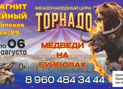 Цирк «Торнадо» - за гранью реальности: шоу в Новороссийске уже с самом разгаре! 