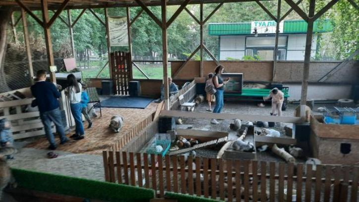 «Блокнот» узнал судьбу контактного зоопарка в Ленинском парке Новороссийска