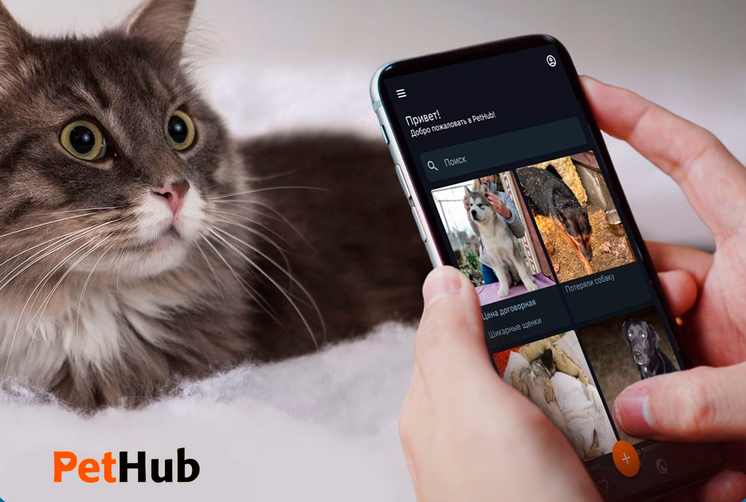 Приложение новороссийских разработчиков «PetHub» попало в топ-7 «Кода Дурова»