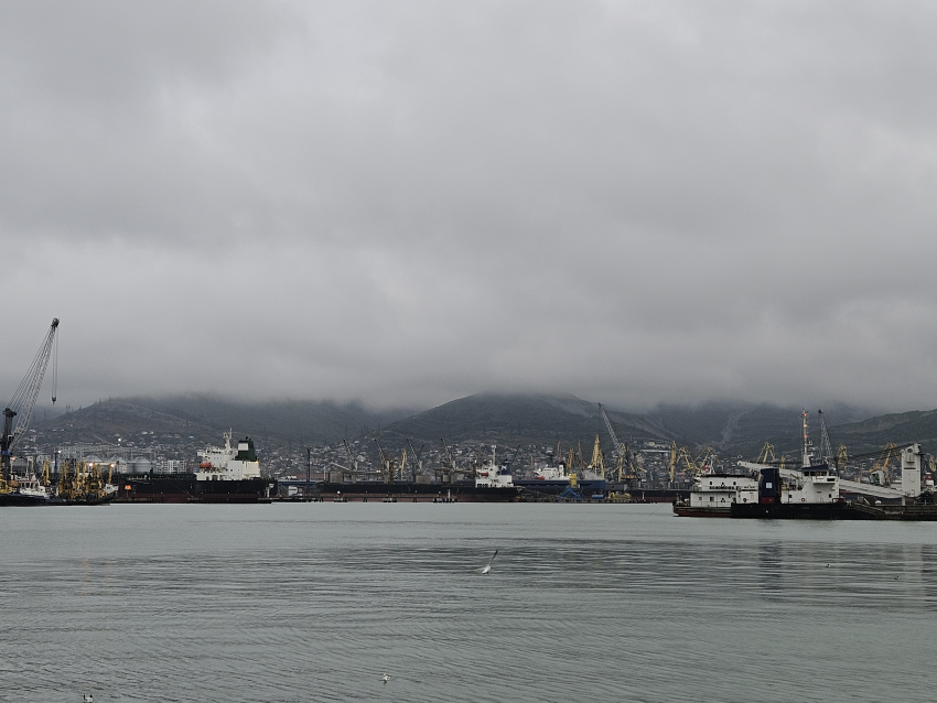 В Новороссийске температура воздуха опустится до +0°C: у Чёрного моря заметно похолодает 