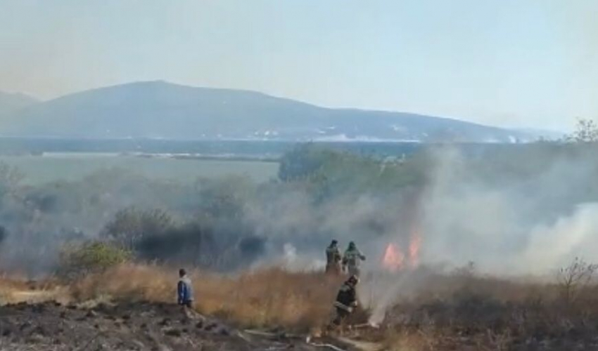 Огонь, охвативший Прилагунье: спецкор «Блокнота» побывал на месте пожара 