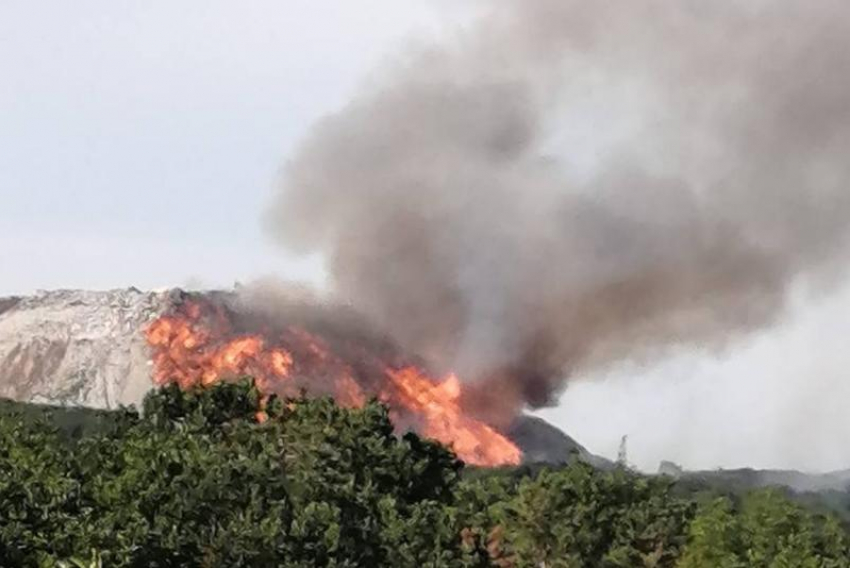 "Мы задыхаемся!": новороссийцы просят Путина обратить внимание на пожар на Щелбе