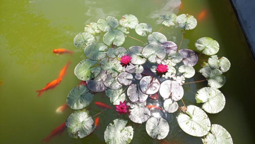 Гороскоп от «Блокнота»: близнецам удастся завести нужные знакомства, а весам поможет дипломатия