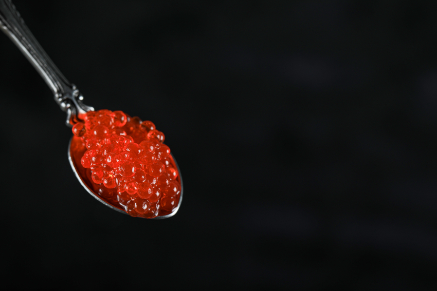 Как новороссийцам купить настоящую красную икру и отличить её от подделки 