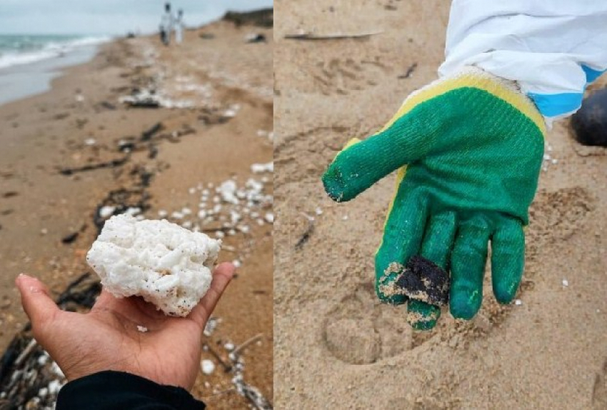 Откуда на побережье Черного моря взялось пальмовое масло - предположения экспертов 