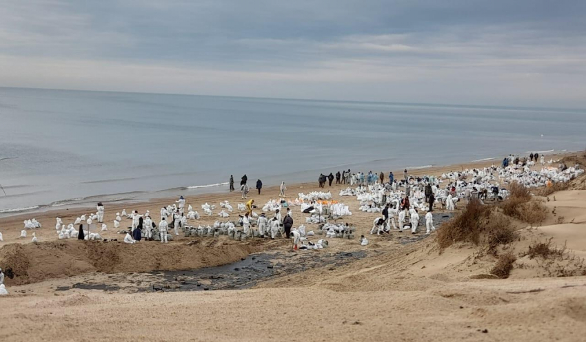 Дело в миллиардах: на расчистку мазута в Анапе выделили дополнительные деньги 