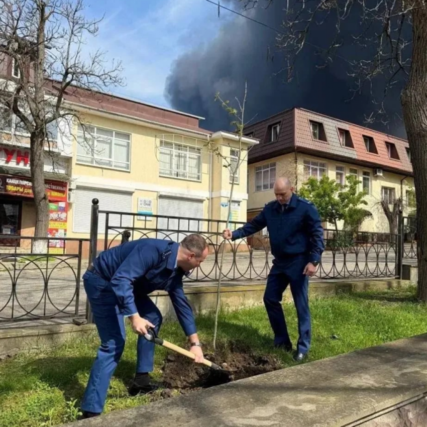 Пожар высадке деревьев не помеха: южане в шоке от того, что творится в Туапсе
