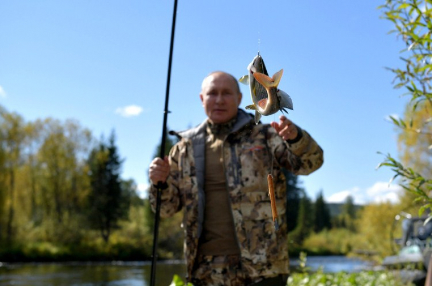 Рыба должна быть доступной: за «рыбные» дела взялся президент Владимир Путин