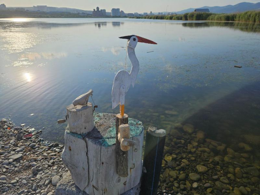 На территории Суджукской лагуны снесут вышки