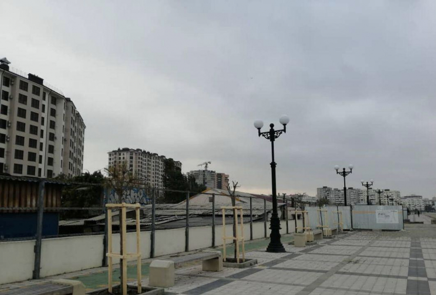 На набережной Новороссийска реанимируют сломанные деревья 