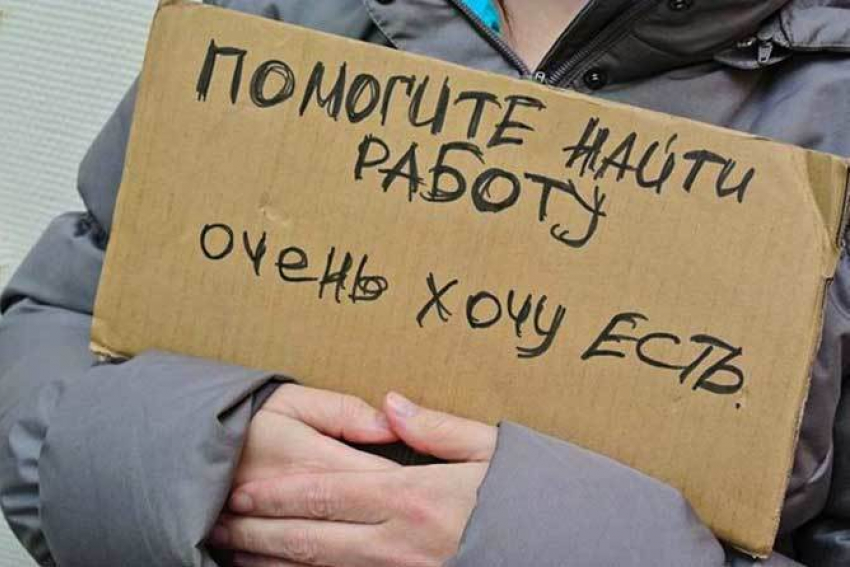 На одну вакансию шесть желающих: что не так с безработицей в Новороссийске 