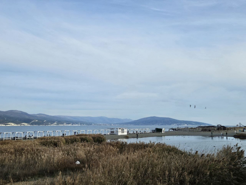 Гороскоп от «Блокнота»: Тельцы и Стрельцы добьются желаемого, а у Рыб романтика 