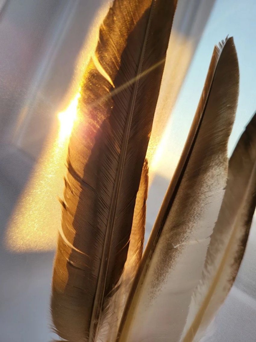 Рыбам не стоит брать в долг, а Раков ждет новая любовь: как сложится этот день у знаков зодиака