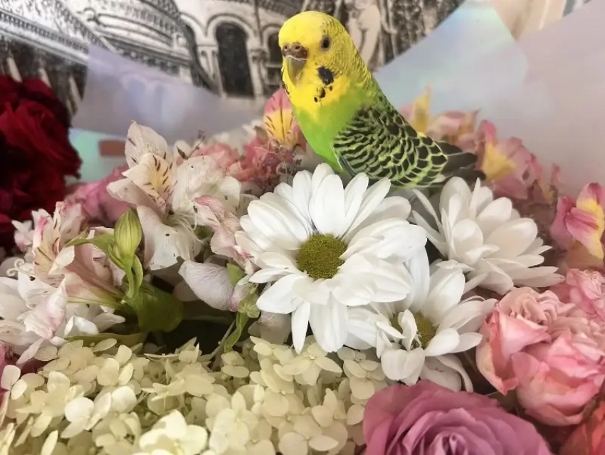 Близнецам звезды советуют заняться творчеством, а Тельцам пора позаботиться о себе