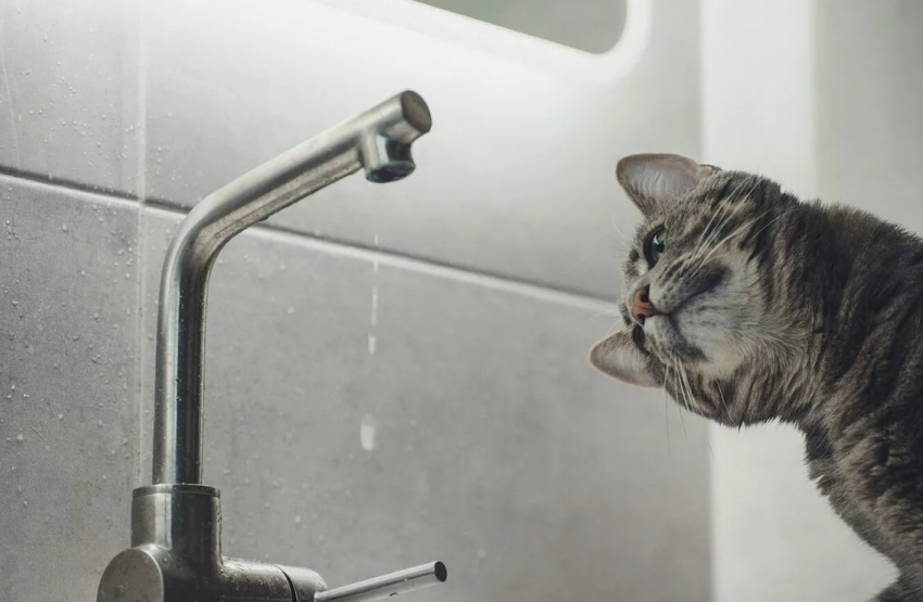 Без воды, тепла и света начался день у некоторых новороссийцев