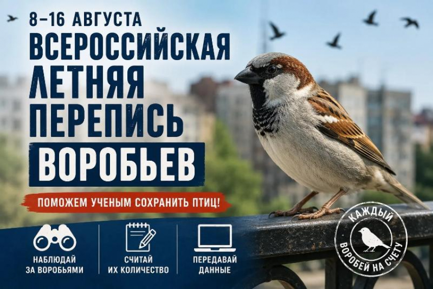 В России проведут перепись воробьев