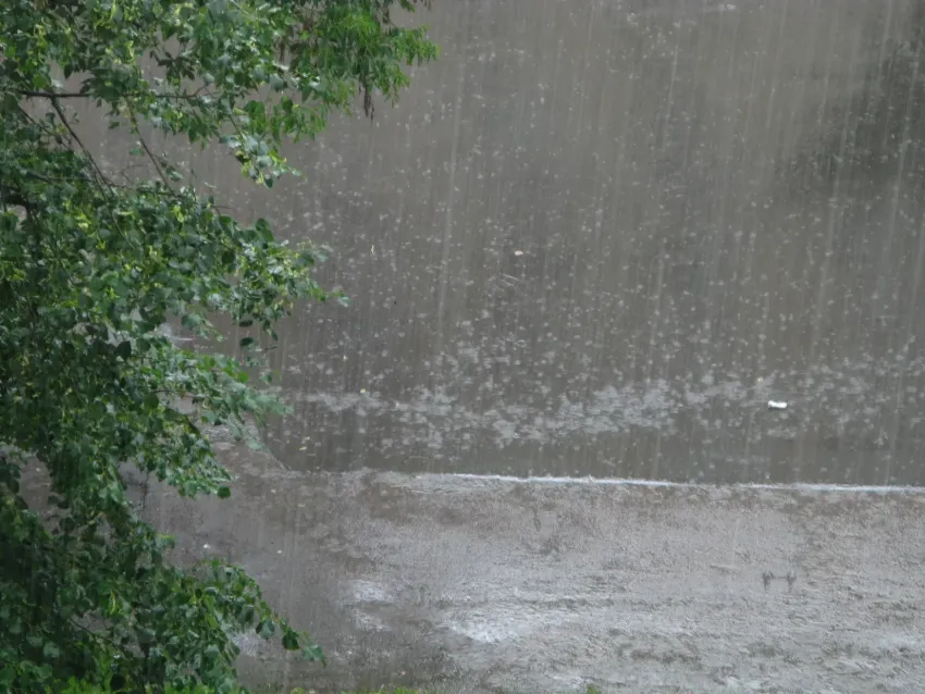 Сегодня в Новороссийске снова возможен дождь 