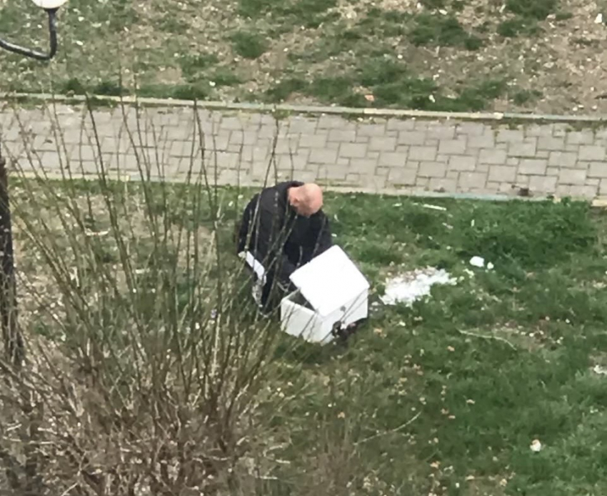В Новороссийске мужчина высыпал на газон странный порошок 