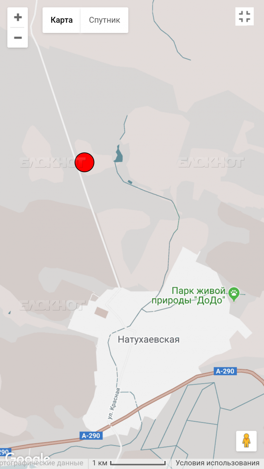 Появились первые официальные данные о подземных толчках в Новороссийске