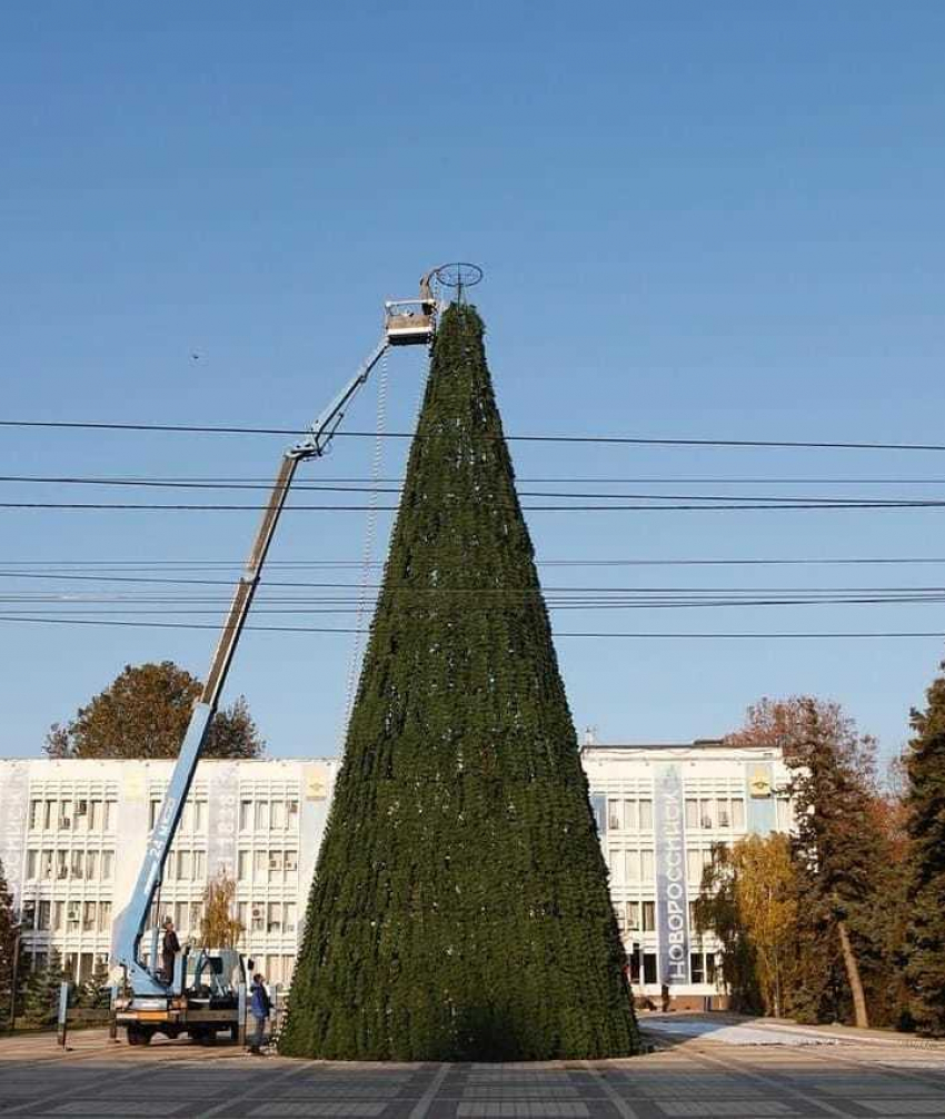В день рождения Деда Мороза в Новороссийске зажгут огни на главной елке города