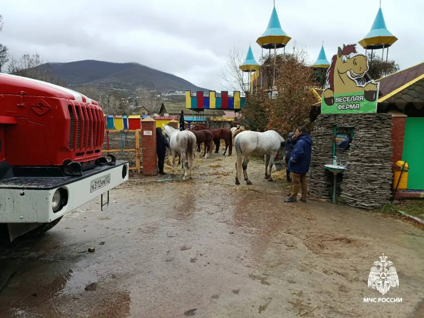 Человек и 21 лошадь стали заложниками пожара в конюшне под Новороссийском 