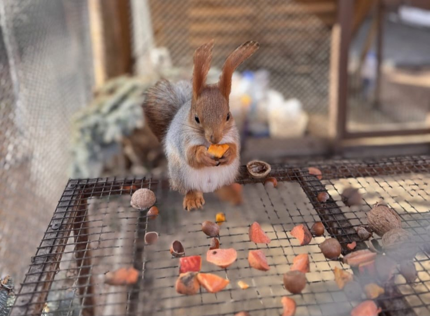 Гороскоп от «Блокнота»: Овны окажутся в нужном месте, а Львы решатся на перемены 