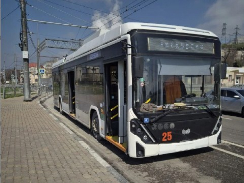 Что-то новенькое: гостей Новороссийска соблазняют троллейбусной экскурсией