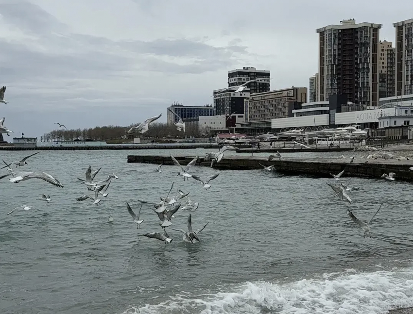 Погода в Новороссийске: день понравится любителям дождя 