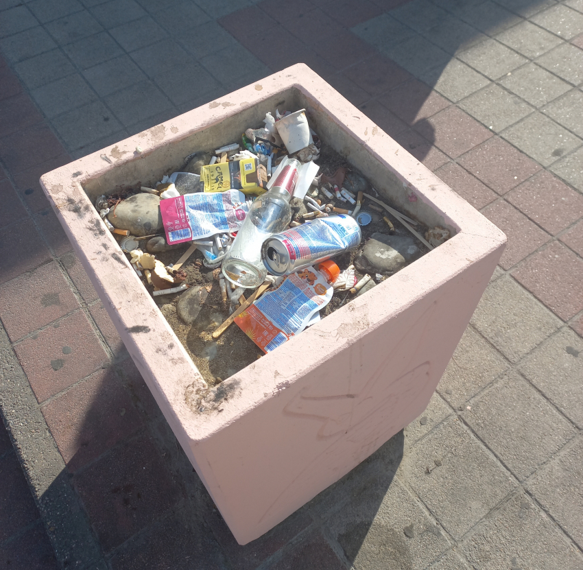 Какова красота: вместо цветов в клумбах Новороссийска растёт мусор 