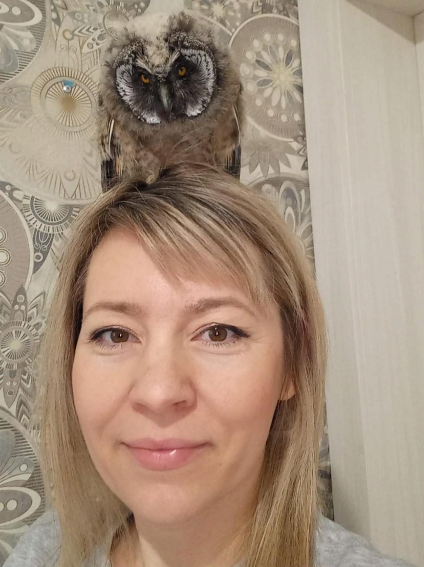 Как Наталья Колесникова спасает от смерти новороссийских сов 