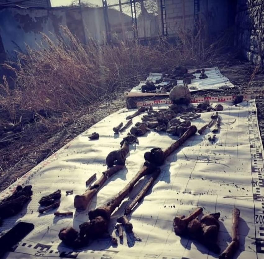 Жительница Новороссийска нашла на своём участке человеческие кости