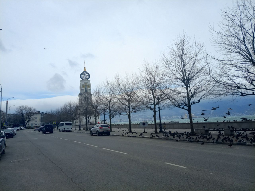 Стрелять в Новороссийске будут днем и ночью