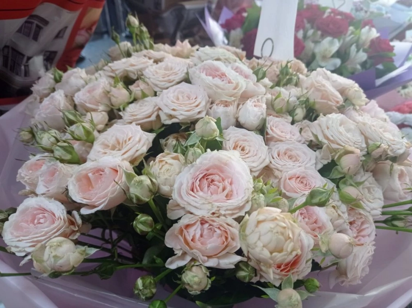 Сколько стоит «приличный» букет на 8 марта: советы новороссийцам от флориста