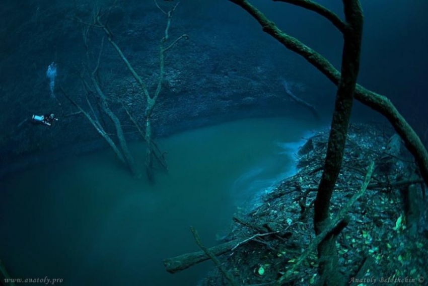 Календарь: 1 августа – день подводной реки в Черном море