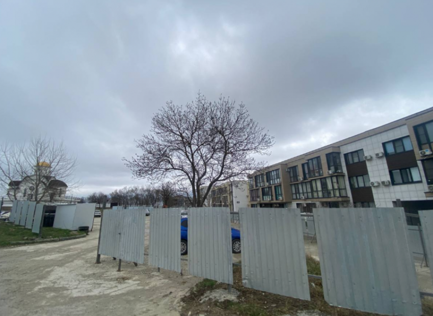 Забор и точка: новороссийцы не знают, будет ли у них мусорка, парковка и остановка