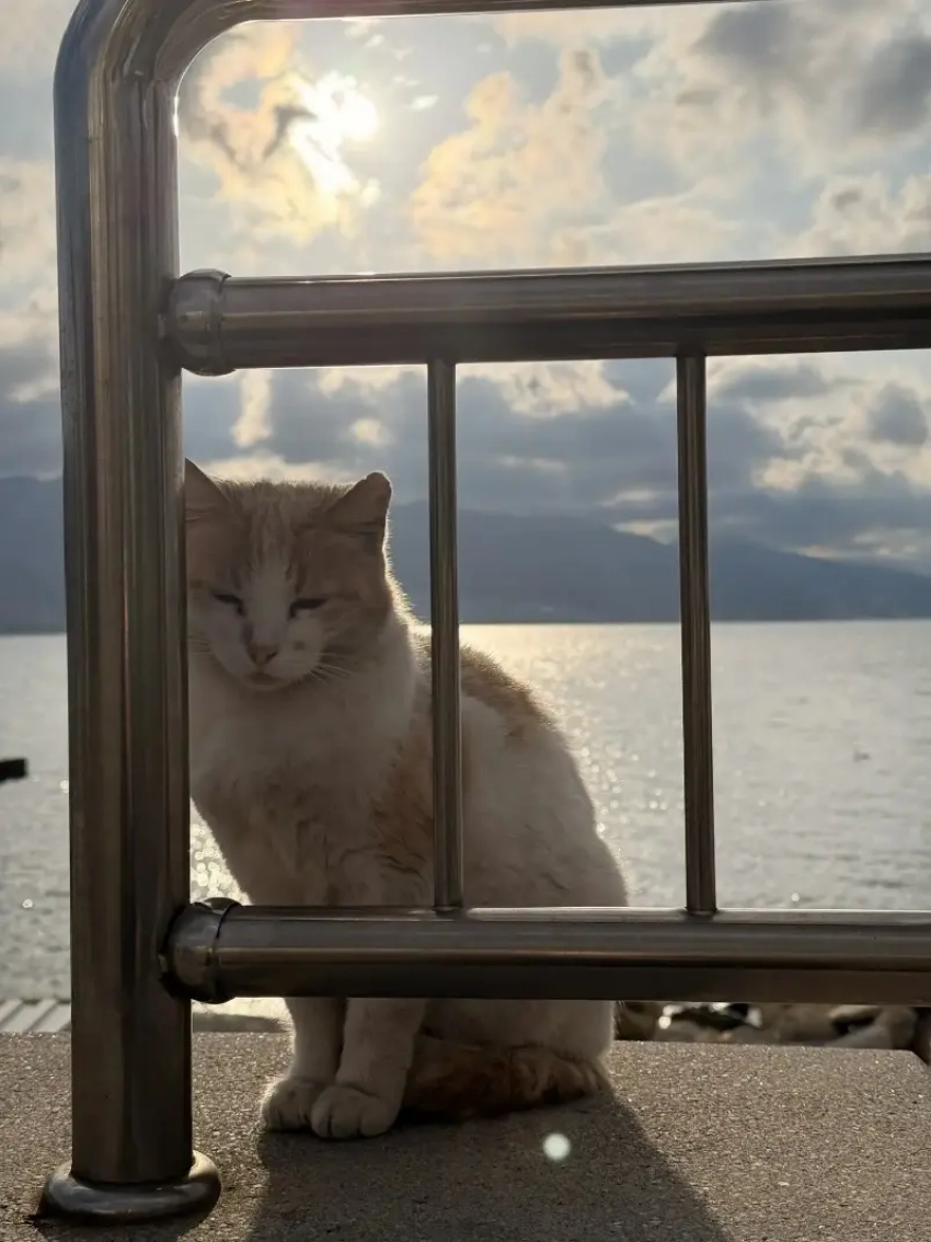 Тельцам звезды советуют быть внимательнее на работе, а у Стрельцов появится шанс взяться за новое дело