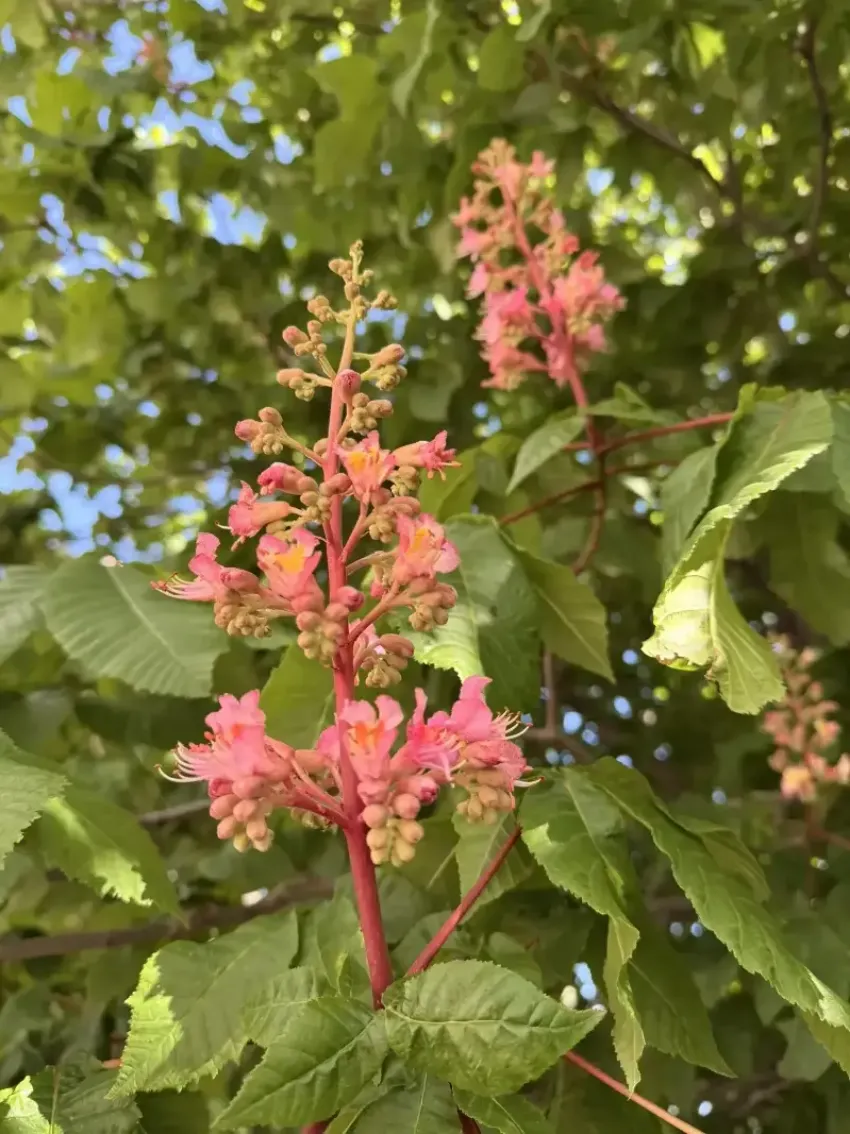 Облачная погода накрыла Новороссийск