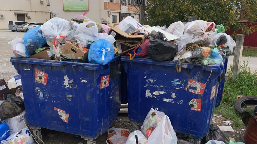 «За май платим «ЭкоЮгу»: что сделает новая мусорная компания против коллапса в Новороссийске