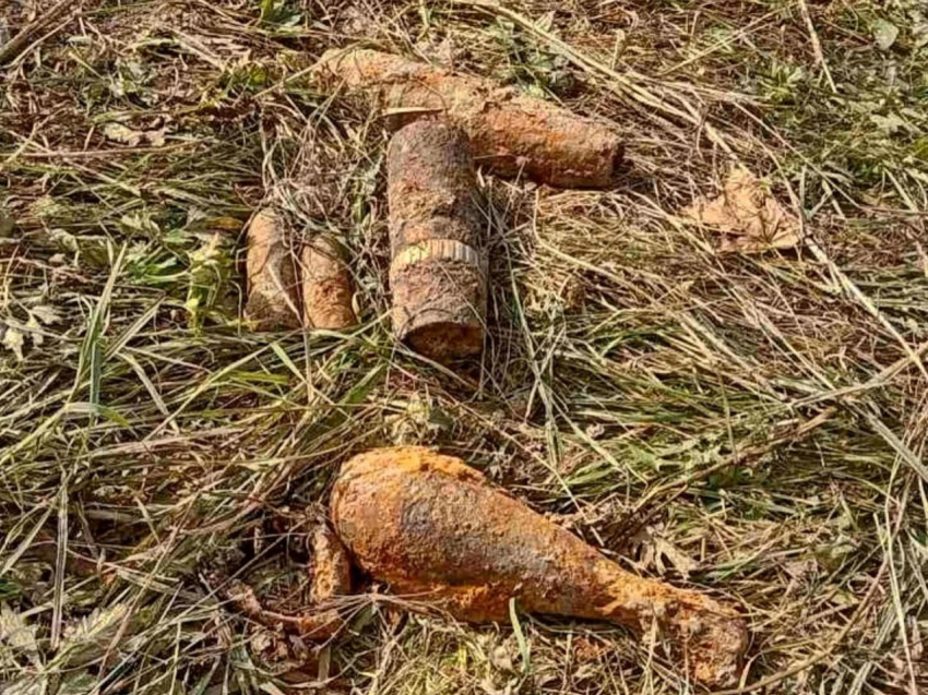 В Новороссийске продолжают находить боеприсы времён ВОВ