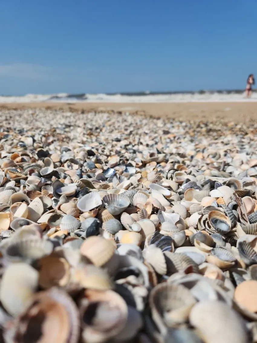 Пляжи Азовского моря уже готовятся к приему туристов