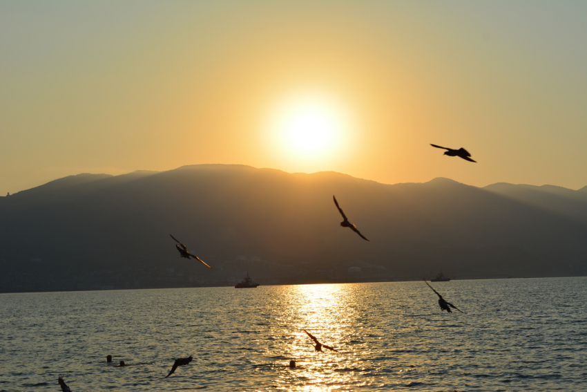 В четверг в Новороссийске выглянет солнце