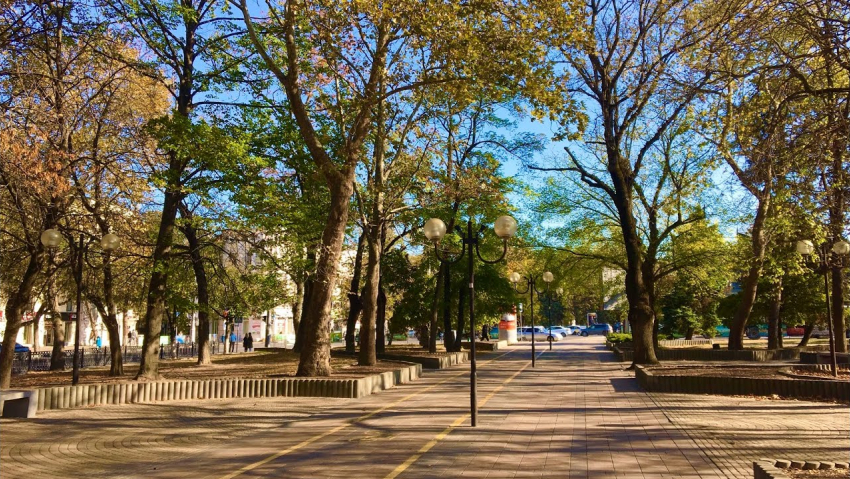 Начало недели в Новороссийске будет ясным и холодным 