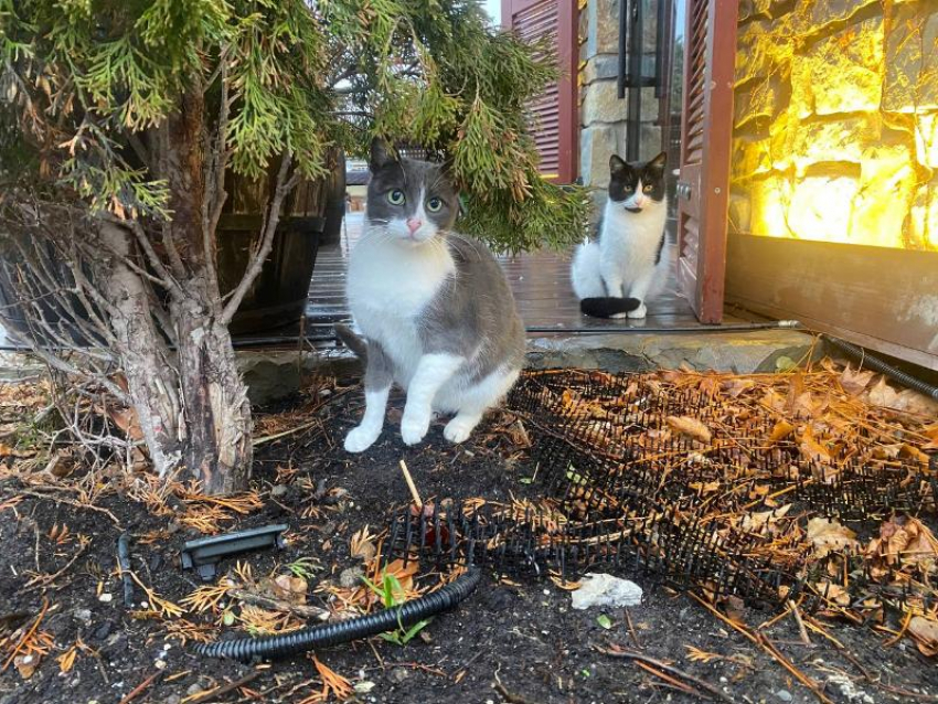 В Новороссийск вернулась зима