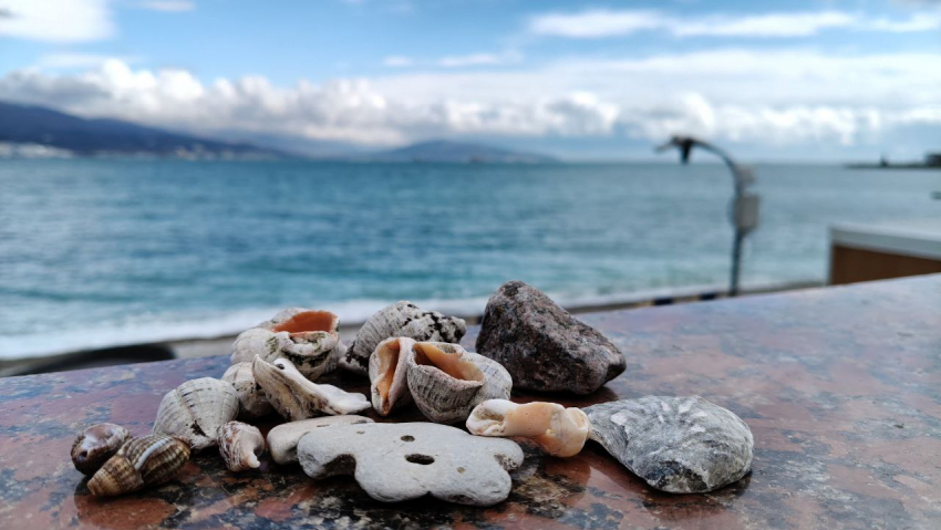 Гороскоп от Блокнота: Близнецам не стоит распыляться на мелочи, а Девам – не торопиться с выводами 