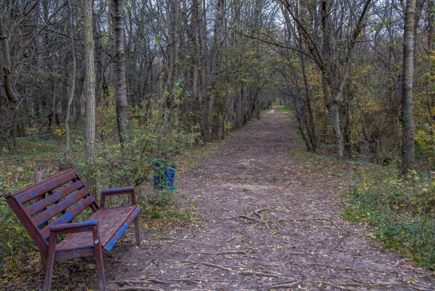 Погода в Новороссийске: весь день минусовая температура по ощущениям