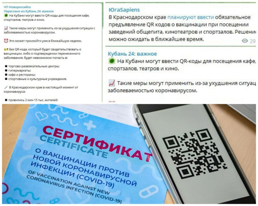 Введут ли QR-коды для посещения общественных мест в Новороссийске: официальная информация