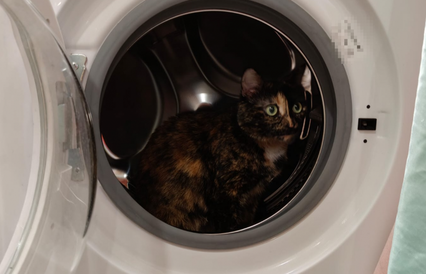 Атака беспилотников в Новороссийске: сигнал тревоги отменен, итоги жуткой ночи