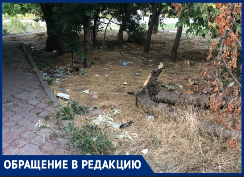 «Центрее некуда»: около популярного сквера в Новороссийске развернулась настоящая свалка